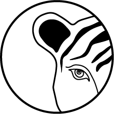 Logo of Bdoir Photography